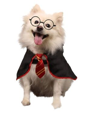 NWOT Harry Potter Wizard Costume Cape, Eyeglasses,  and Tie